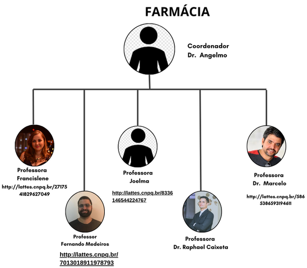 Fluxograma professores (8).png