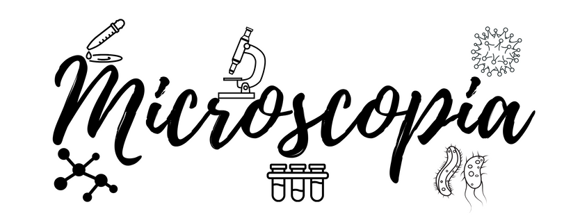 AVISOS laboratório (20).png