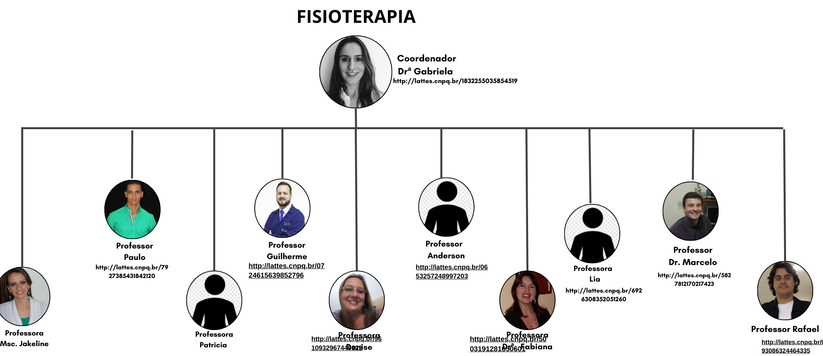 Fluxograma professores (11).png
