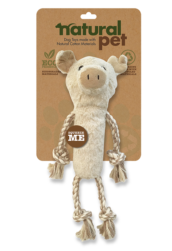 rope teddy dog toy