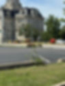 image3.jpeg