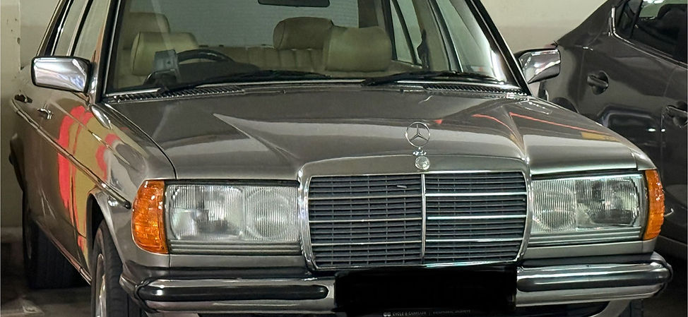 1981 Mercedes Benz W123