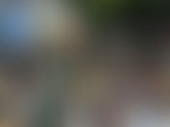 MST realiza 3º Festival por Terra, Arte e Pão em Roraima