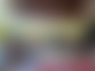 MST/RR capacita trabalhadores rurais na produção de bioinsumos