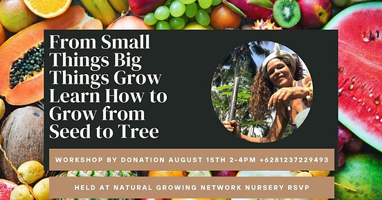 From Small Things Big Things Grow Learn How to Grow from Seed to Tree.jpeg