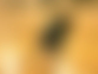 【12/12 垂井】１２月２回目の垂井スクール！