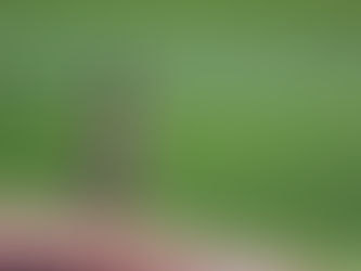 【大会結果報告】岐阜春季記録会でシーズンイン🌸