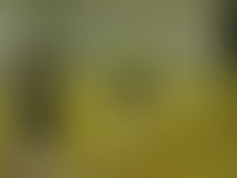 【8/5 関ケ原】関ケ原スクール初のお昼練習！