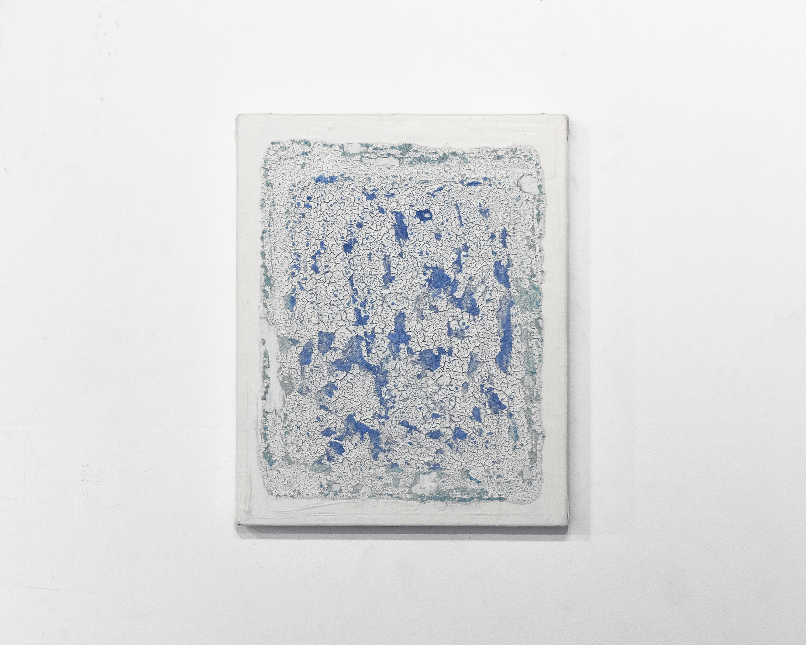 cora (blue) (2017)