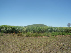 Pleasant Valley Organic Farm Harare