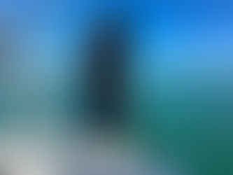 Jacksonville Fishing Report 4.24.24