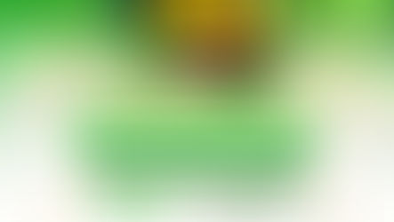  🧡💚¡Estamos de aniversario!🧡💚