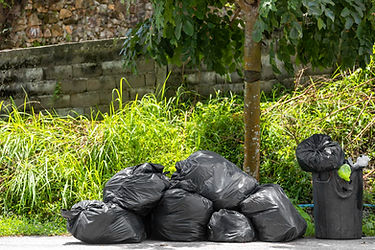 garbage-bin-against-trees-plants.jpg