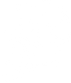 Vector.png