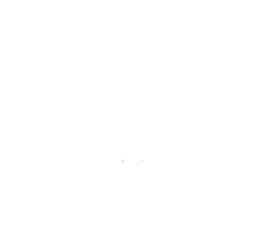 Group 1000005307.png