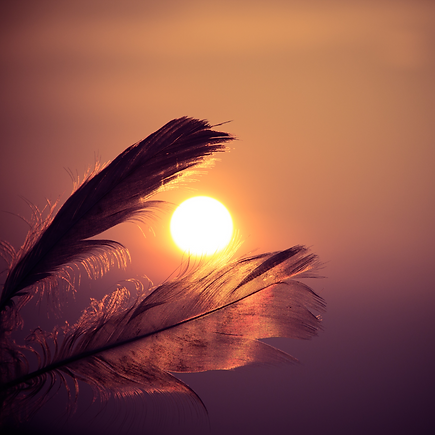Federn-Licht-Sonne-Burnout-Klänge-Stille-Tamara-Burkhard