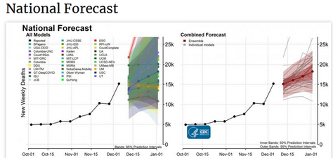 CDC's Near-Term Death Estimates Epitomize Analytical Failures