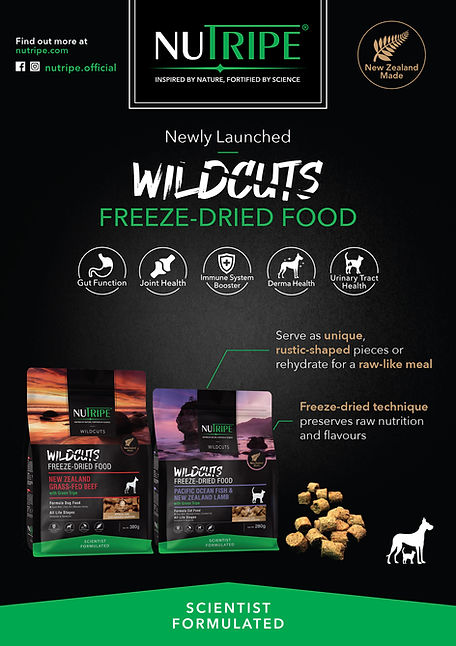 SKC NUTRIPE Krunch_A5_v2-02.jpg