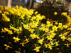 Bright sunny spells throughout the day