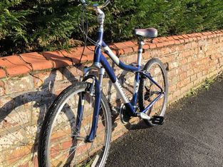 Specialized Expedition Elite bike for sale