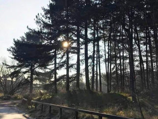 Cloudy with some showers and sunny spells