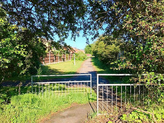 Fine and mostly sunny