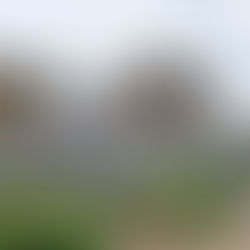 Patchy rain with strong winds