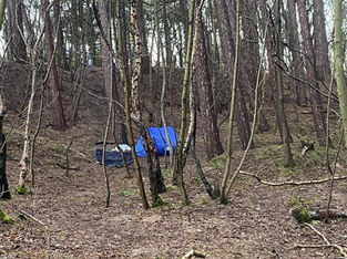 Rubbish dumped as campers set up camp in Pinewoods