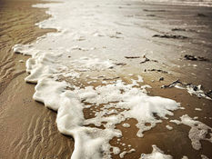 Sunny spells with the chance of showers