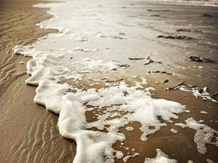 Sunny spells with the chance of showers