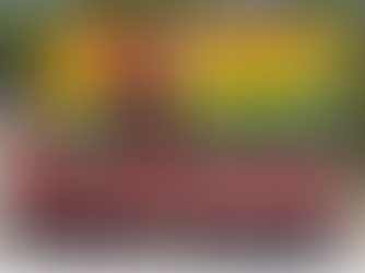 Redgate Rovers Under 12 Holland Easter Tournament 2019