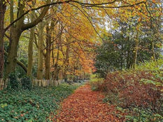 Wet and windy start with brighter spells later on