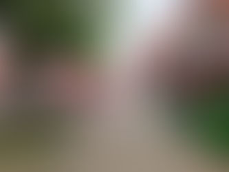 Cloudy start with brighter spells to follow