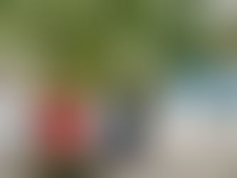 Cloudy and wet for most of the day