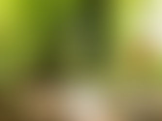 Cloudy start with warm sunny spells in the afternoon