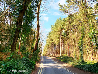 Cloudy with the chance of rain