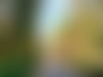 Cloudy with the chance of rain