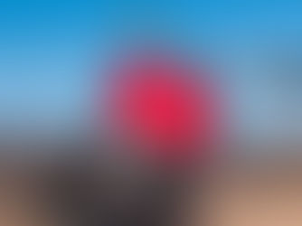 Bike & Go offer a Valentine’s Date for under a fiver