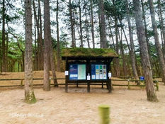 Unsettled day with blustery showers