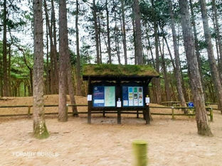 Unsettled day with blustery showers