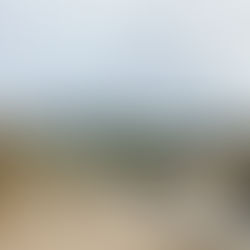 Sunshine and blue skies