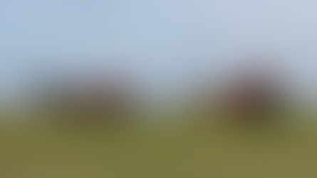 Sunny and feeling warm