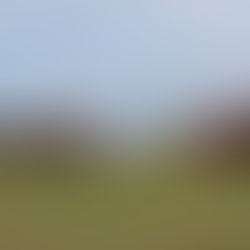 Dry day with sunny intervals