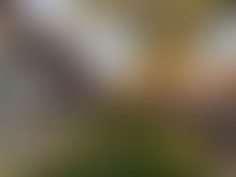 Good morning on Sunday 3rd April. A dry and sunny day with some patchy cloud in Formby