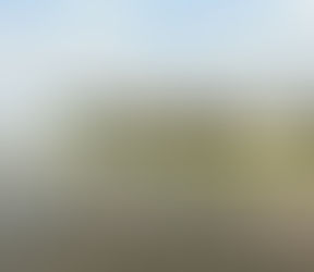 Sunny spells throughout the day