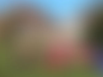 Frank Rourke's Report from Formby Junior Sports Club