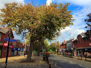 Cloudy with spells of rain