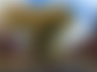 Cloudy with spells of rain