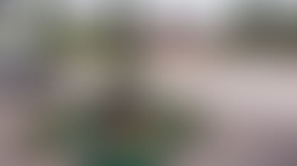 Cloudy start with sunny spells