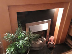 Fire and surround for sale